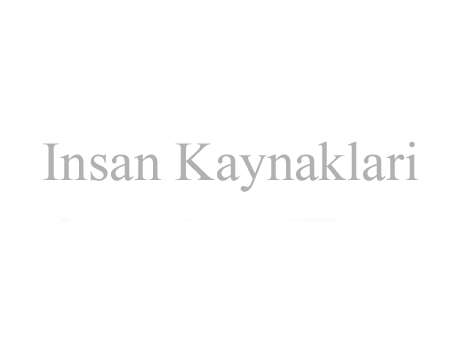 nsan kaynaklar